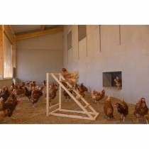 Leiter Kerbl Beige 85 x 55 x 76 cm Huhn
