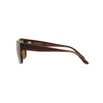 Herrensonnenbrille Emporio Armani EA 4197