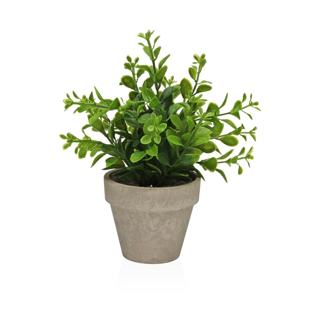 Decorative Plant Versa Iron Textile Plastic 11 x 26 cm