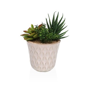 Dekorationspflanze Versa aus Keramik Kunststoff Fusion Sukkulente 7,8 X 14 X 7,8 CM