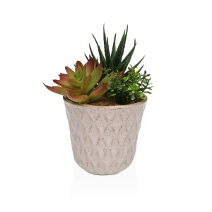 Decorative Plant Versa Ceramic Plastic Fusion Succulent 7,8 X 14 X 7,8 CM