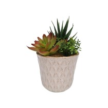Decorative Plant Versa Ceramic Plastic Fusion Succulent 7,8 X 14 X 7,8 CM