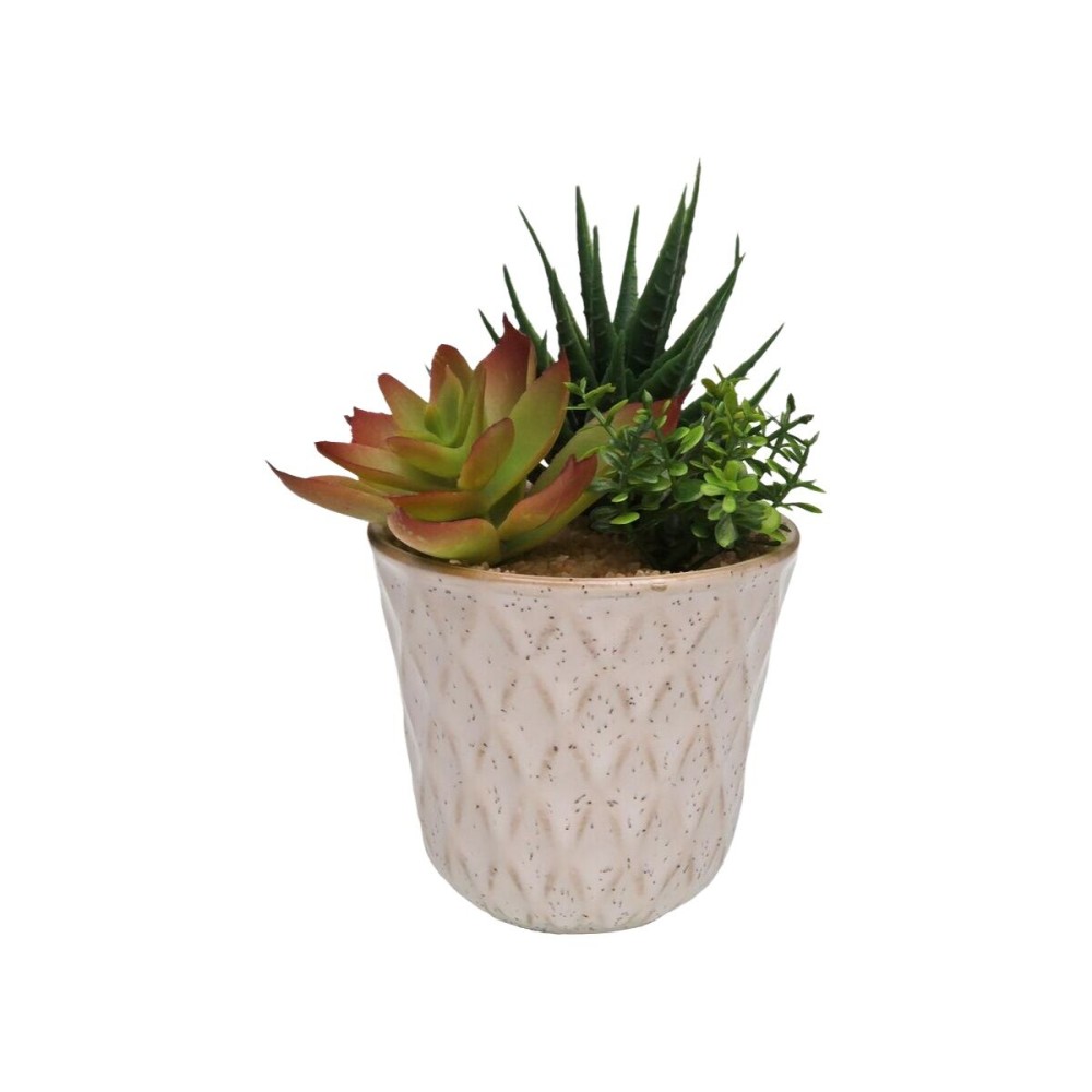 Decorative Plant Versa Ceramic Plastic Fusion Succulent 7,8 X 14 X 7,8 CM
