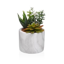 Dekorationspflanze Versa aus Keramik Kunststoff Fusion Sukkulente 9 x 15 x 9 cm