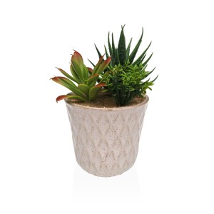 Decorative Plant Versa Ceramic Plastic Fusion Succulent 7,8 X 14 X 7,8 CM