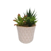 Decorative Plant Versa Ceramic Plastic Fusion Succulent 7,8 X 14 X 7,8 CM