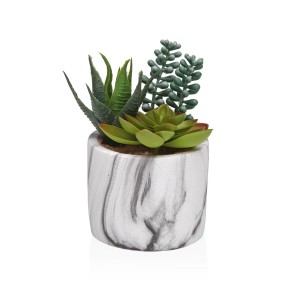 Decorative Plant Versa Ceramic Plastic Fusion Succulent 9 x 15 x 9 cm