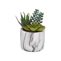 Decorative Plant Versa Ceramic Plastic Fusion Succulent 9 x 15 x 9 cm