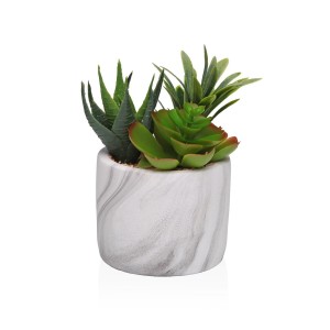 Decorative Plant Versa Ceramic Plastic Fusion Succulent 9 x 15 x 9 cm