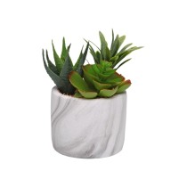 Decorative Plant Versa Ceramic Plastic Fusion Succulent 9 x 15 x 9 cm