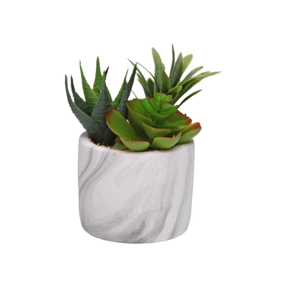 Decorative Plant Versa Ceramic Plastic Fusion Succulent 9 x 15 x 9 cm