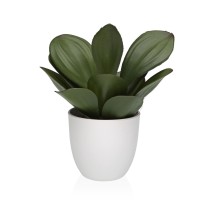 Decorative Plant Versa Iron Textile Plastic 25 x 23 cm