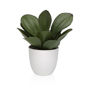Decorative Plant Versa Iron Textile Plastic 25 x 23 cm
