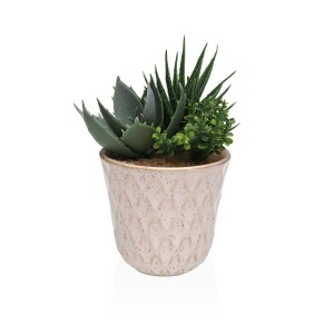 Decorative Plant Versa Ceramic Plastic Fusion Succulent 7,8 X 14 X 7,8 CM
