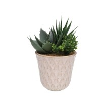 Decorative Plant Versa Ceramic Plastic Fusion Succulent 7,8 X 14 X 7,8 CM