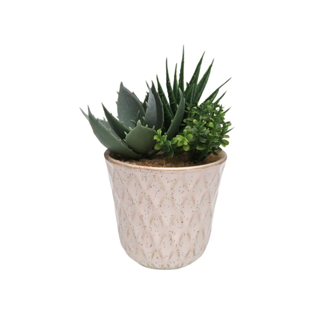Decorative Plant Versa Ceramic Plastic Fusion Succulent 7,8 X 14 X 7,8 CM