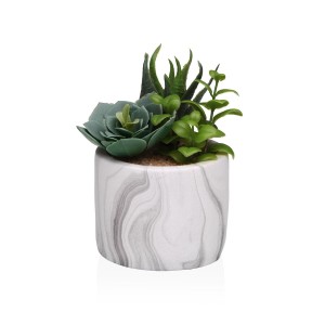 Decorative Plant Versa Ceramic Plastic Fusion Succulent 9 x 15 x 9 cm