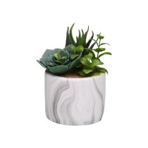 Decorative Plant Versa Ceramic Plastic Fusion Succulent 9 x 15 x 9 cm