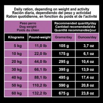 Fodder Arquivet Original Adult Lamb with rice Adult Lamb Rice 12 kg 12,7 KG