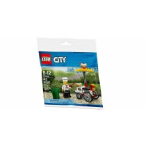 Set de construction Lego 30356 43 Pièces