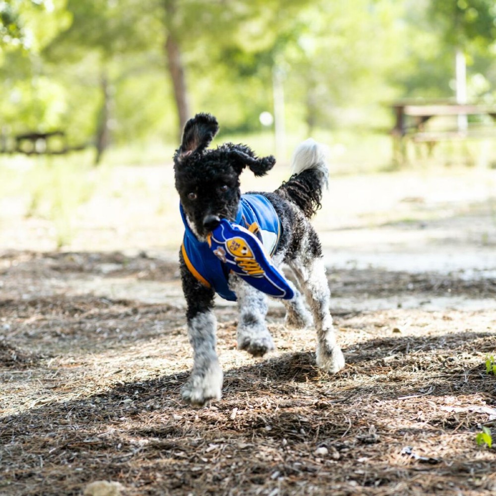Hundespielzeug Real Madrid C.F. Blau