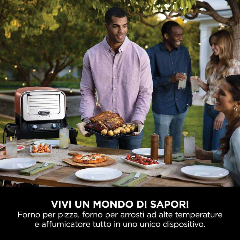 Plaque de cuisson NINJA OO101EU 2400 W
