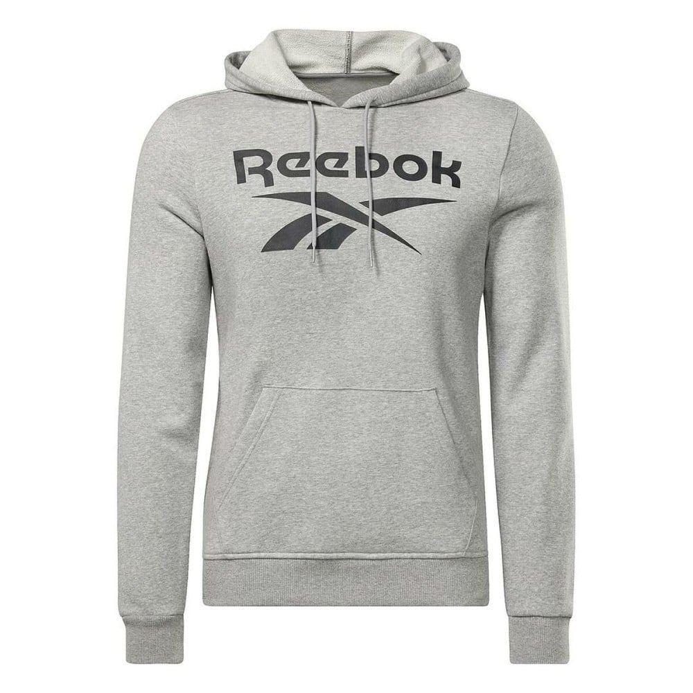 Men’s Hoodie Reebok FT BIG LOGO OTH HZ8786 Grey