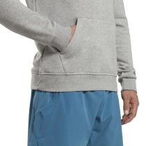 Sweat à capuche homme Reebok FT BIG LOGO OTH HZ8786 Gris