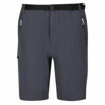 Short de Sport Regatta Xert StrShort III Gris Montagne