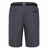 Sport Shorts Regatta Xert StrShort III Grau Berg