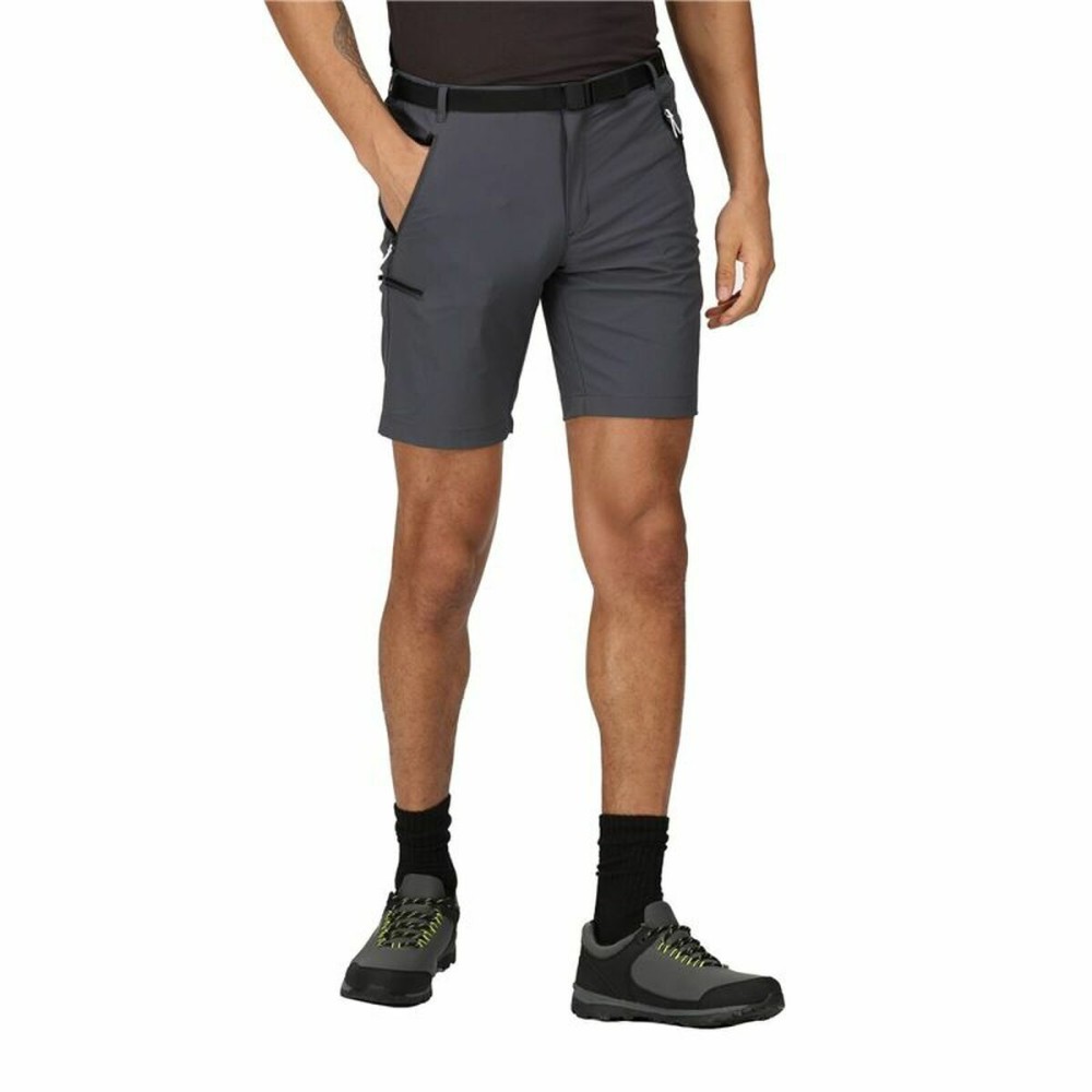 Sport Shorts Regatta Xert StrShort III Grau Berg