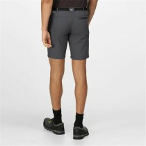 Sport Shorts Regatta Xert StrShort III Grau Berg