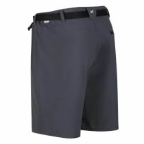 Sport Shorts Regatta Xert StrShort III Grau Berg