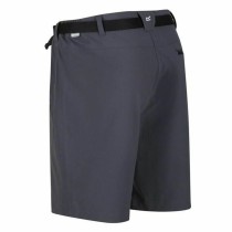 Short de Sport Regatta Xert StrShort III Gris Montagne