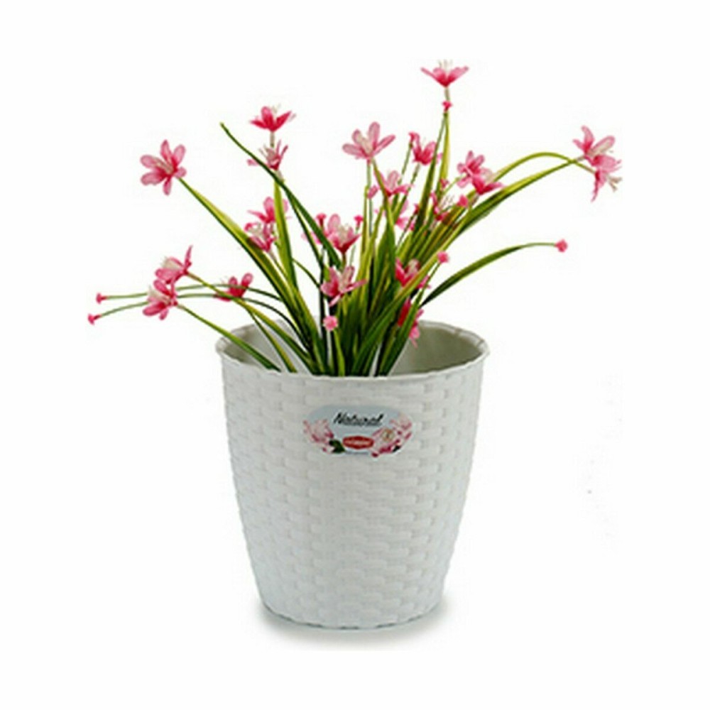 Planter Stefanplast 73460 73460 White Plastic 19 x 17,5 x 19 cm (12 Units)