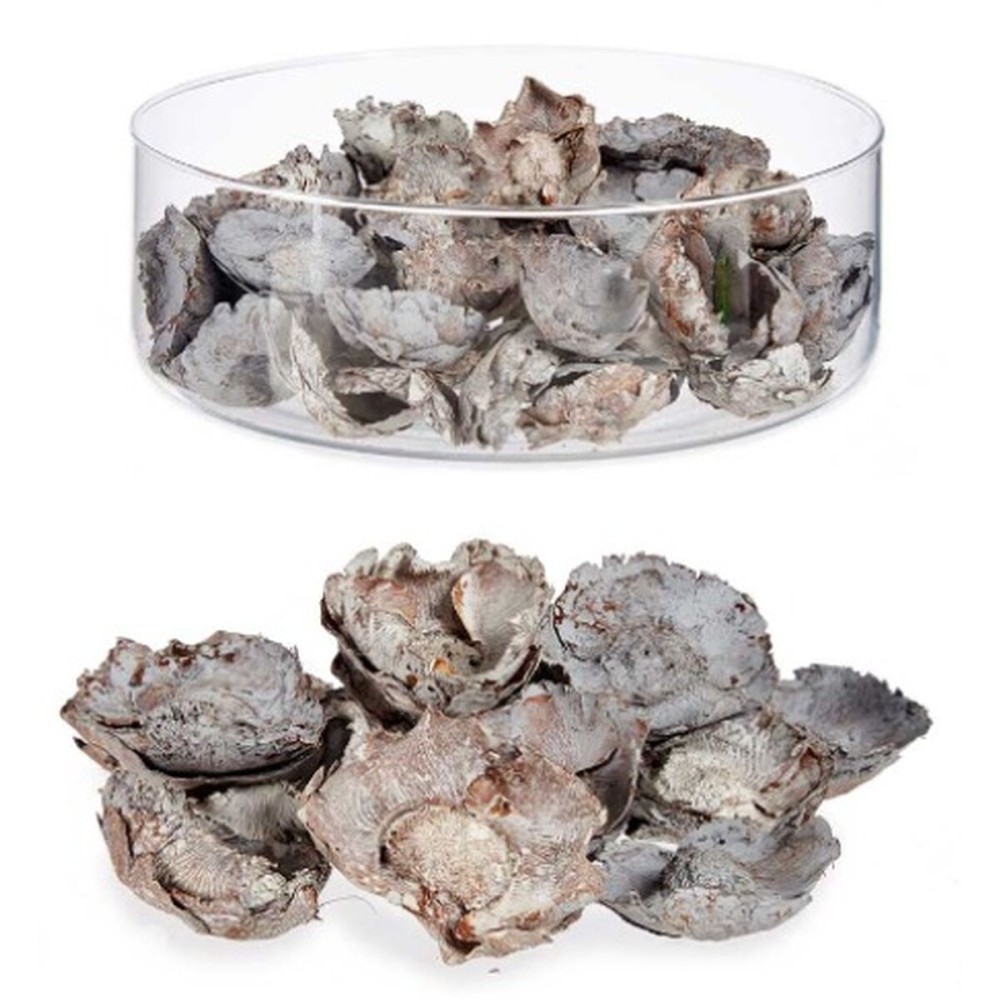 Fleurs décoratives Gift Decor 25-5343 25-5343 Naturel 9 x 27 x 9 cm (12 Unités)