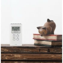 Radio Sangean DT120W BLANCO Blanc