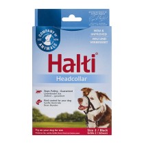 Collier d'entraînement pour chiens Company of Animals Halti Noir Muselière (35-48 cm)