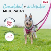 Laisse pour Chien Company of Animals Gris L