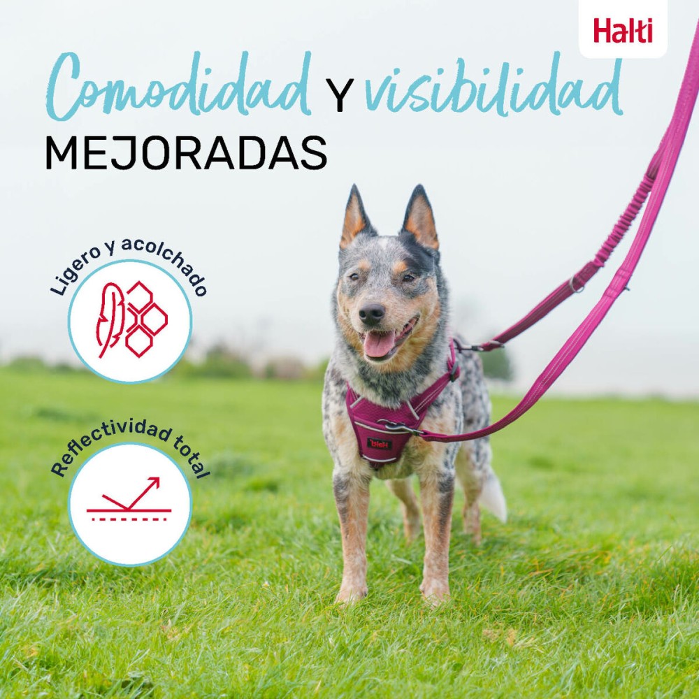 Laisse pour Chien Company of Animals Gris L