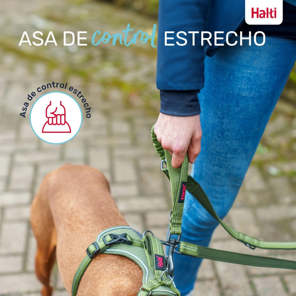 Laisse pour Chien Company of Animals Gris L
