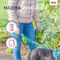 Laisse pour Chien Company of Animals Gris L