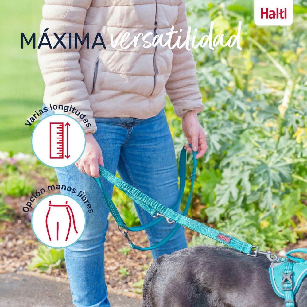 Laisse pour Chien Company of Animals Gris L