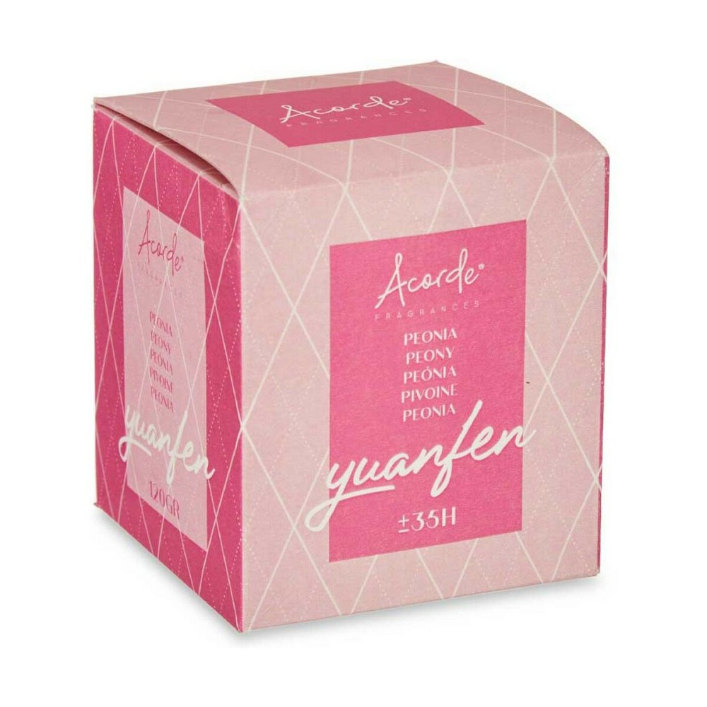 Duftkerze Acorde 86482 86482 Pfingstrose 120 g (12 Stück)