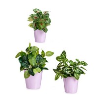 Set of pots Ibergarden LINCE PQ - SMC LINCE PQ - SMC Lilac Clay 16,5 x 16 x 16,5 cm (6 Units)