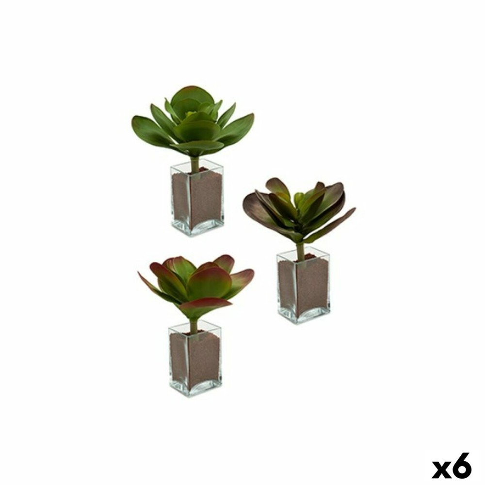 Decorative Plant Ibergarden YD0001 YD0001 Plastic Sheets Large 27 x 29 x 27 cm Bicoloured (6 Units)