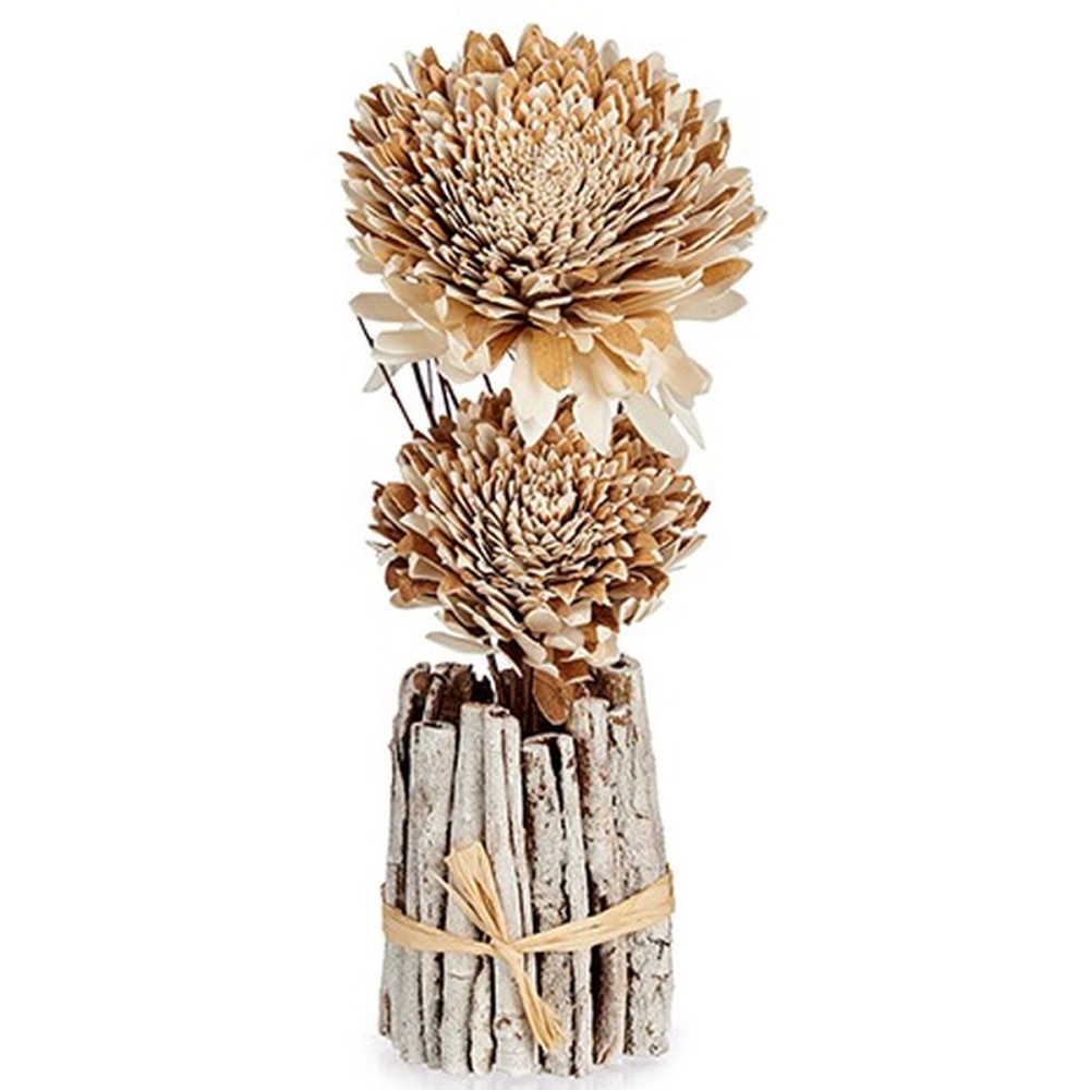 Decorative Flower Gift Decor 25-5240 25-5240 Natural 13 x 37 x 14 cm (12 Units)