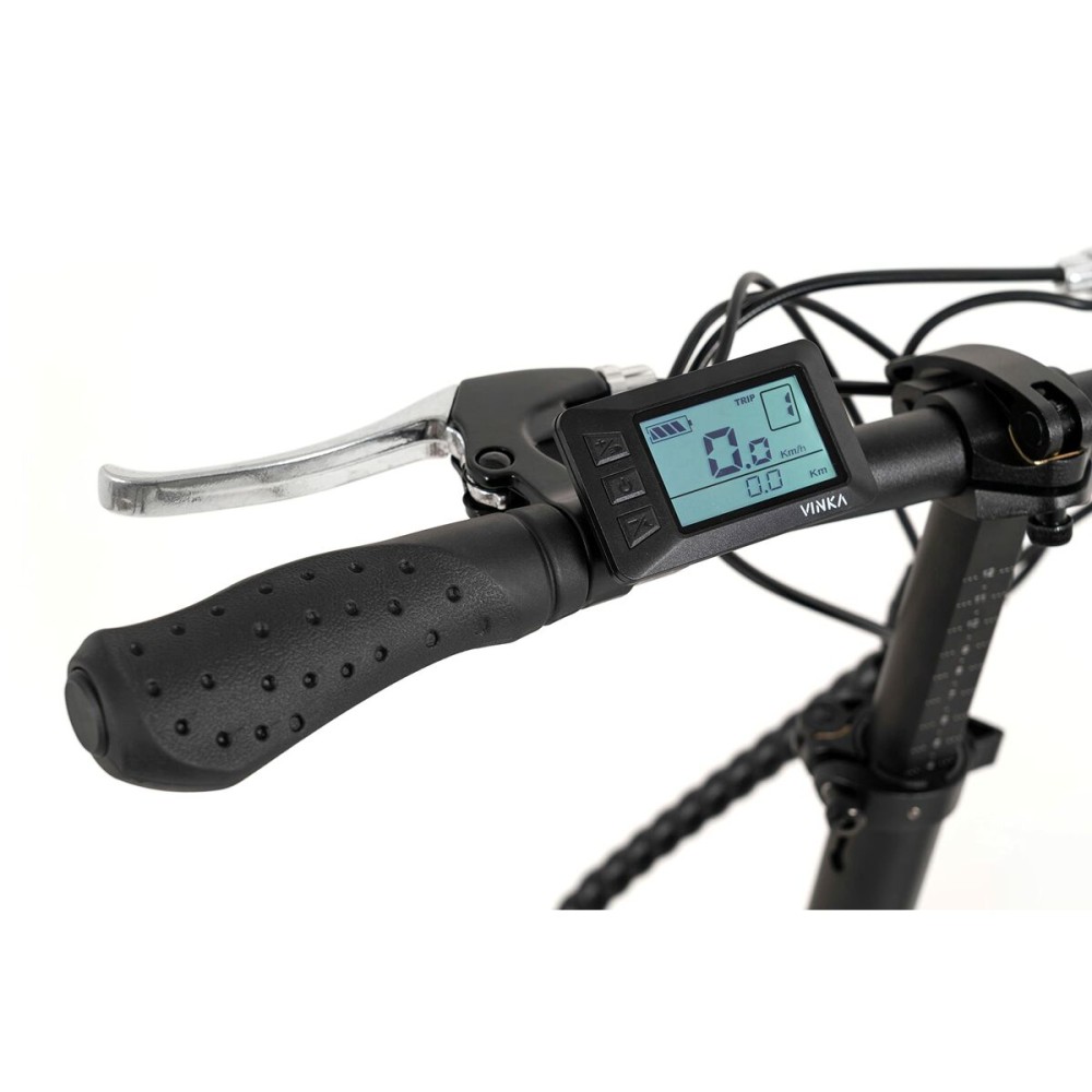 Vélo Électrique Youin BK1300 Noir/Bleu 250 W 9600 mAh 20" 25 km/h