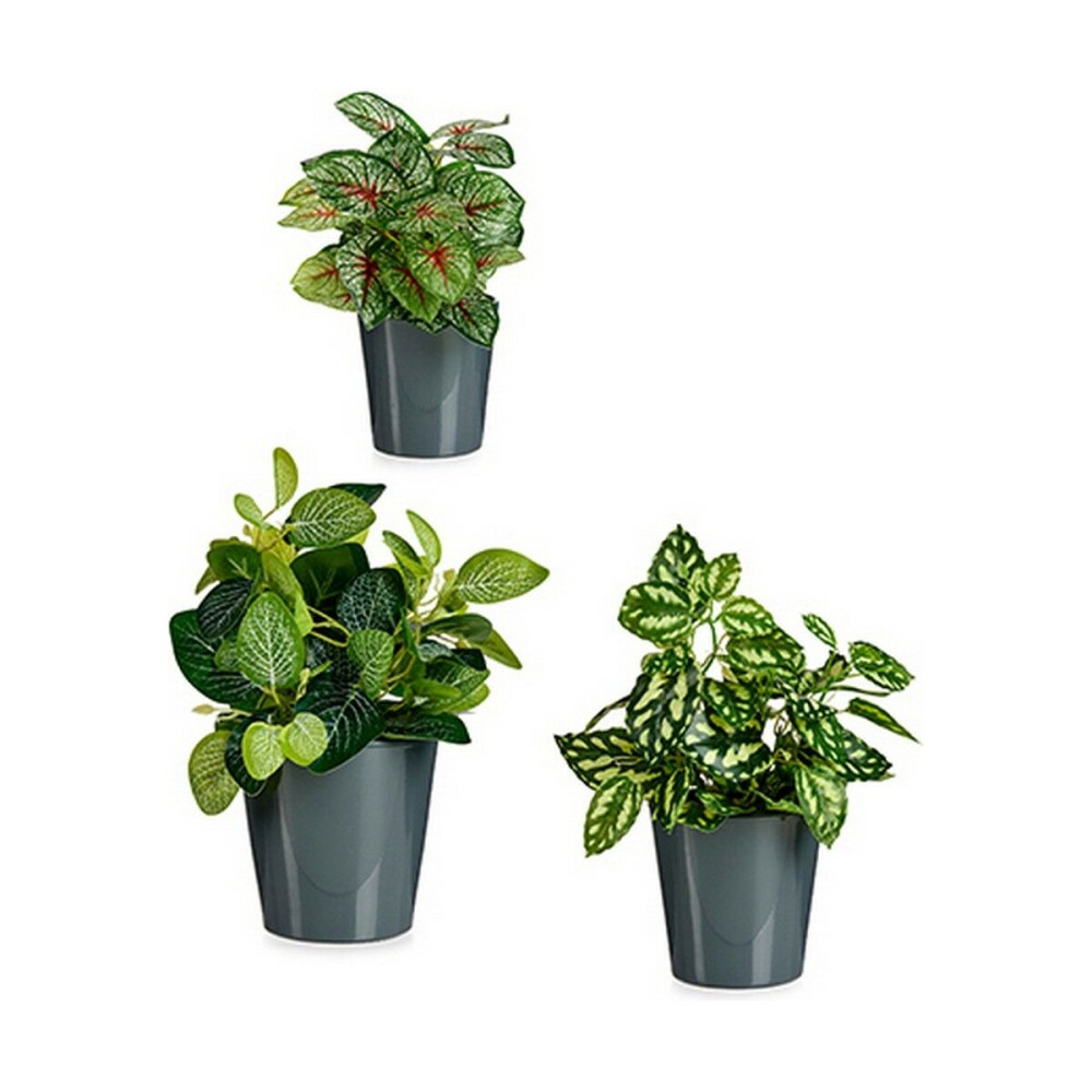 Set of pots Ibergarden LINCE PQ - 7011 LINCE PQ - 7011 Anthracite Clay 16,5 x 16 x 16,5 cm (6 Units)
