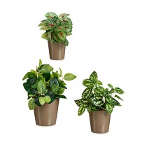 Set of pots Ibergarden LINCE PQ - 7006 LINCE PQ - 7006 Taupe Clay 16,5 x 16 x 16,5 cm (6 Units)